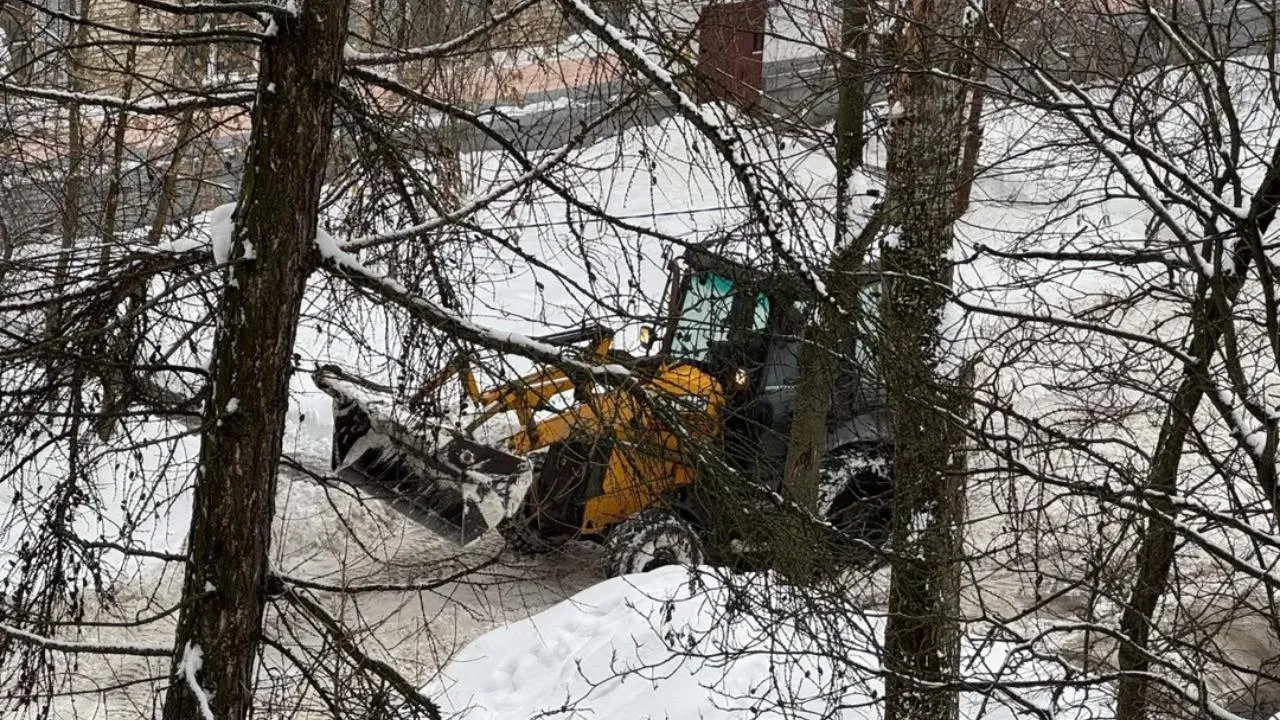 МедиаБанк Подмосковья/Виктория Фортуна