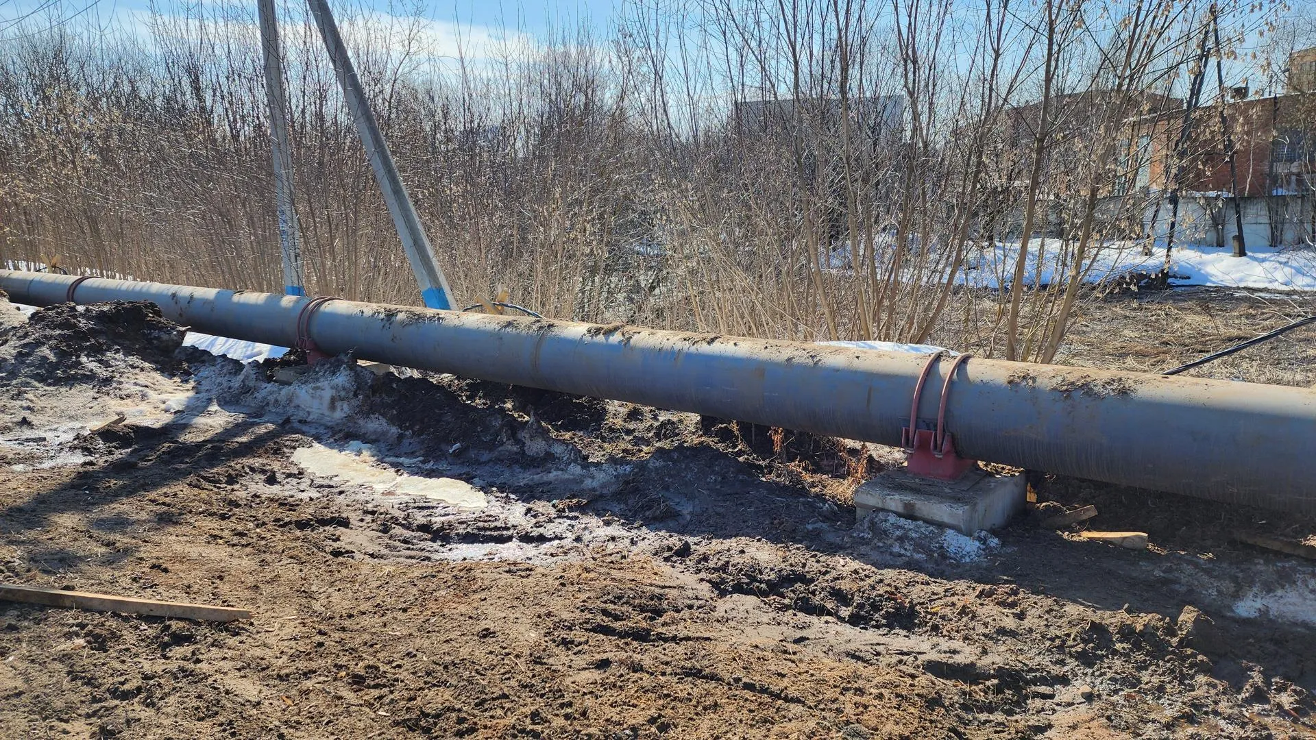 Источник фото: Валентина Максимова