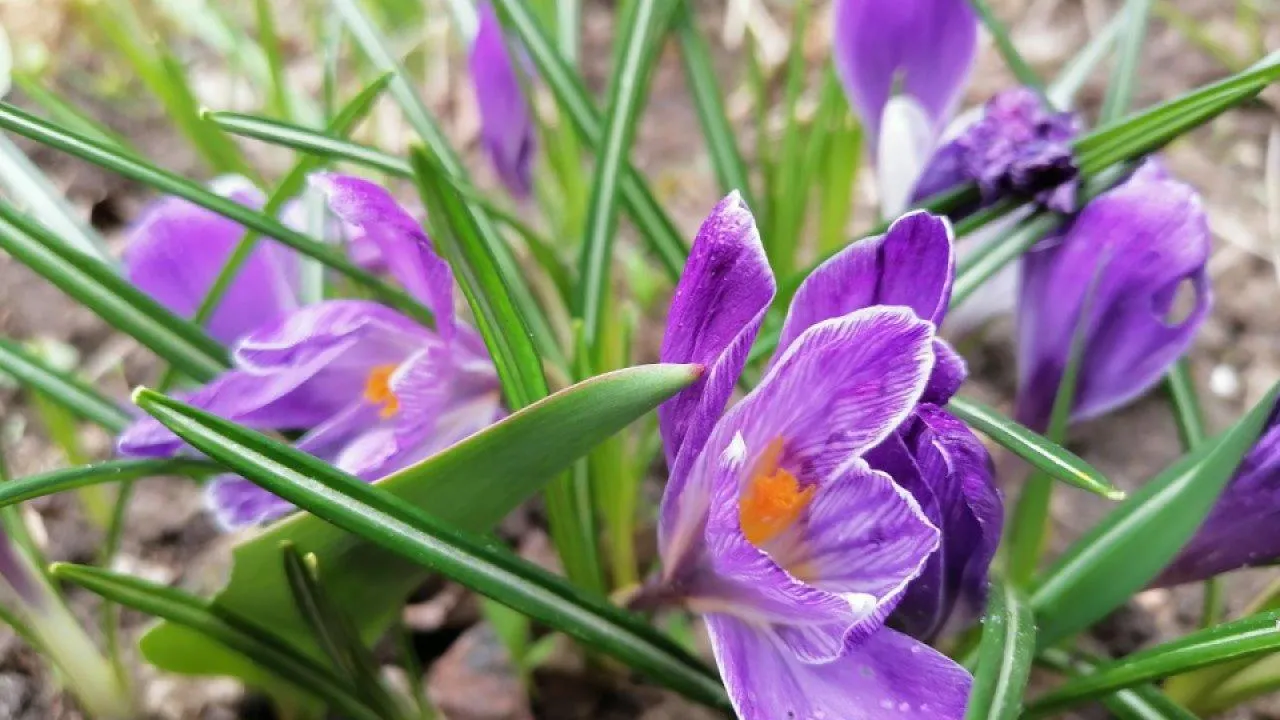 REGIONS/Наталья Дорофеева