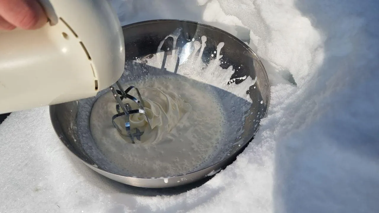 REGIONS/Юлия Алабина