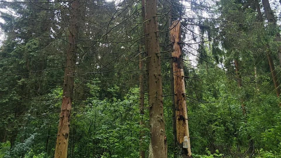 Фото: МедиаБанк Подмосковья/Хавива Фонина