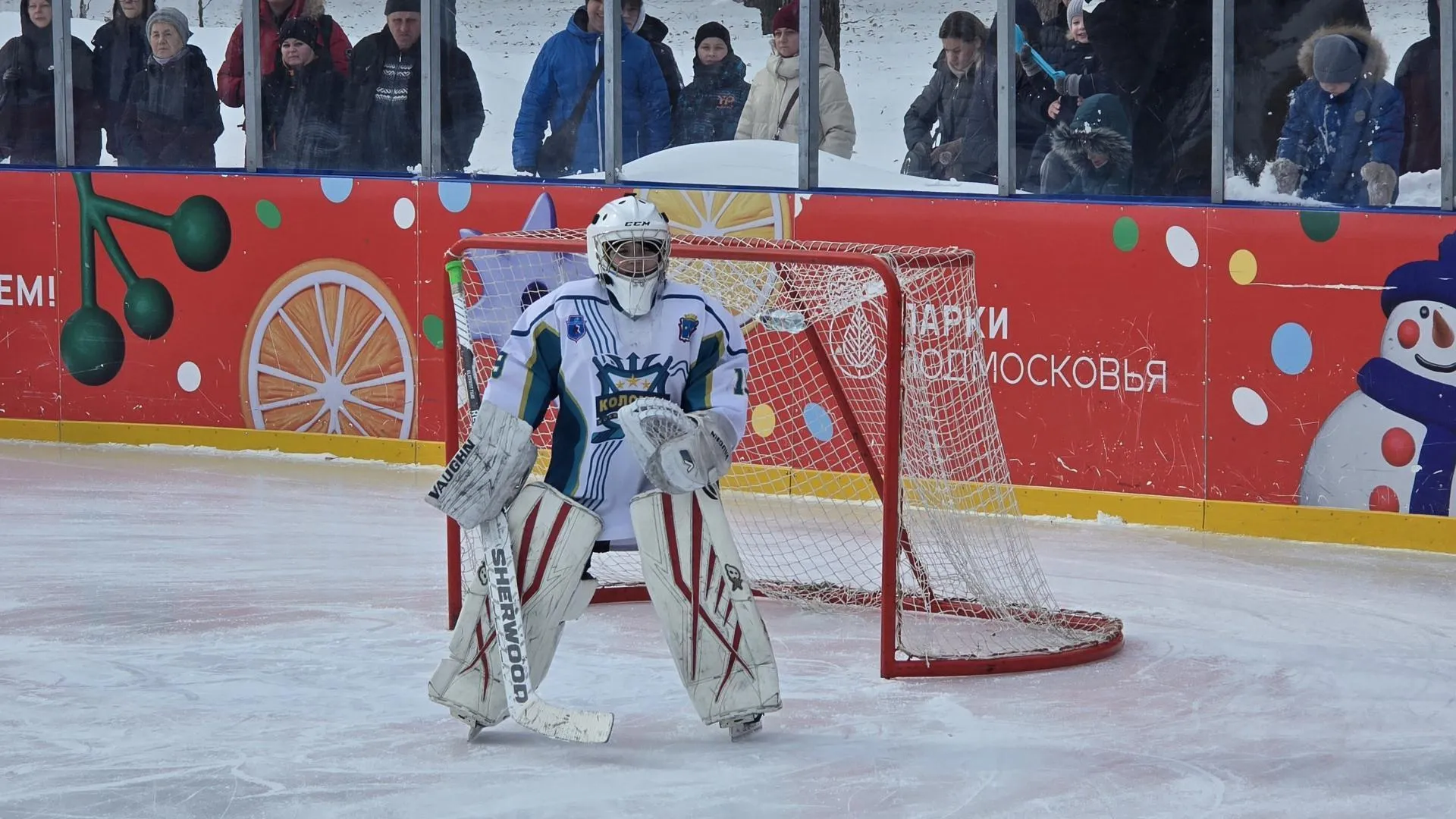МедиаБанк Подмосковья/Марина Анисимова