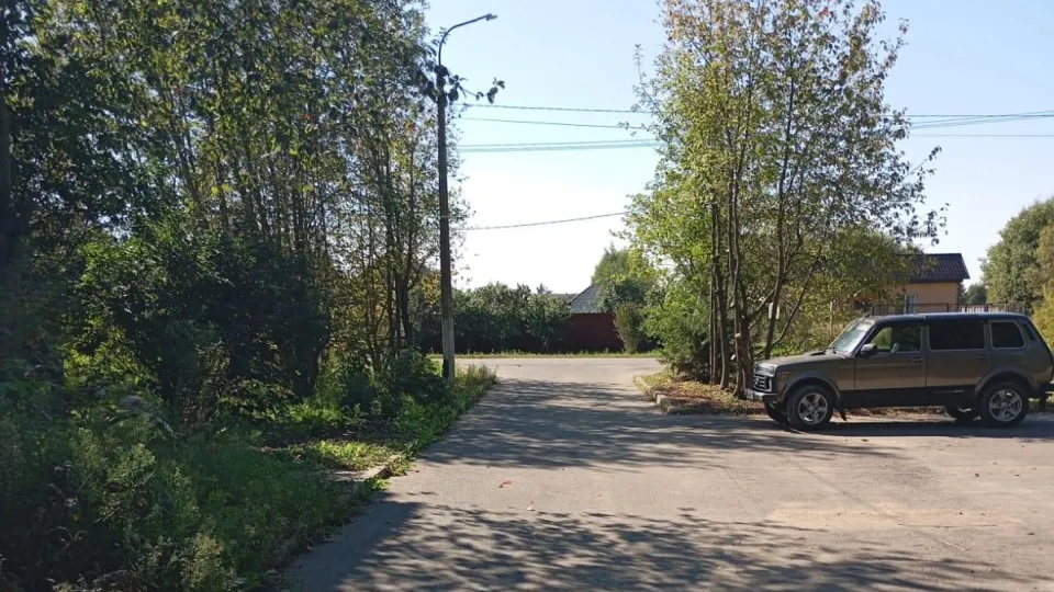 Фото: Администрация городского округа Лотошино