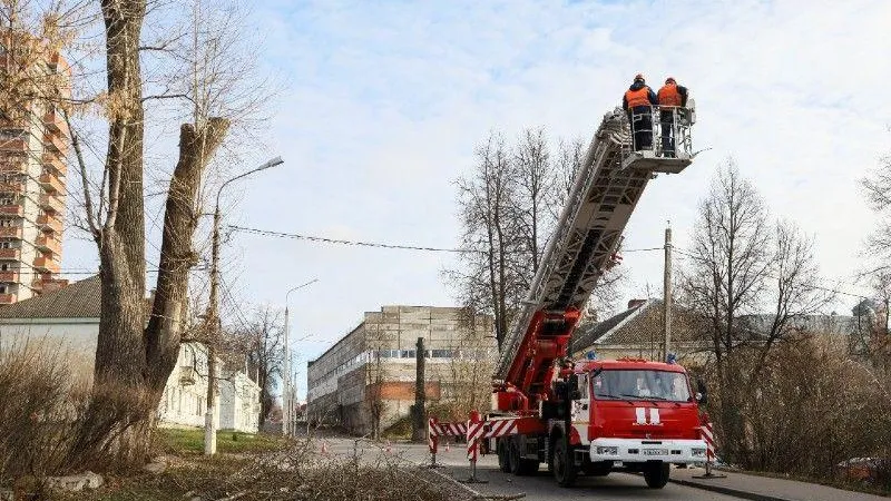 Кронирование деревьев проводят в Серпухове