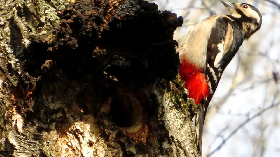 Фото: Андрей Снегерев