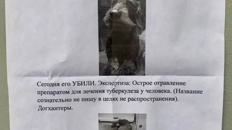 тг-канал Типичное Одинцово