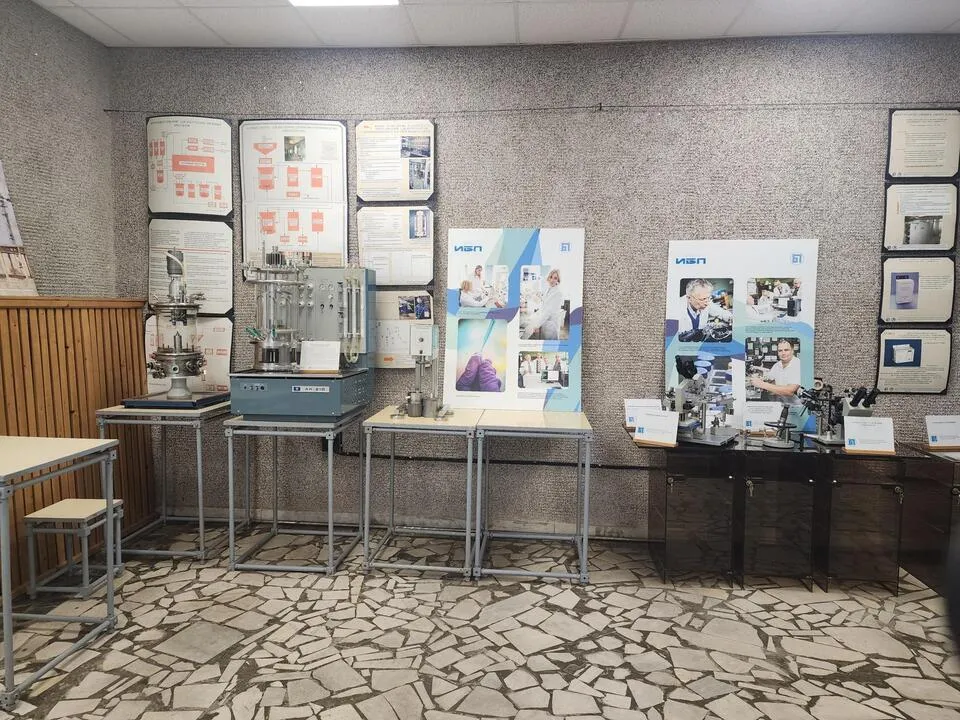 Фото: Мария Панина