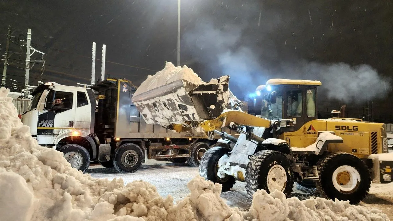 REGIONS/Мария Овчинникова