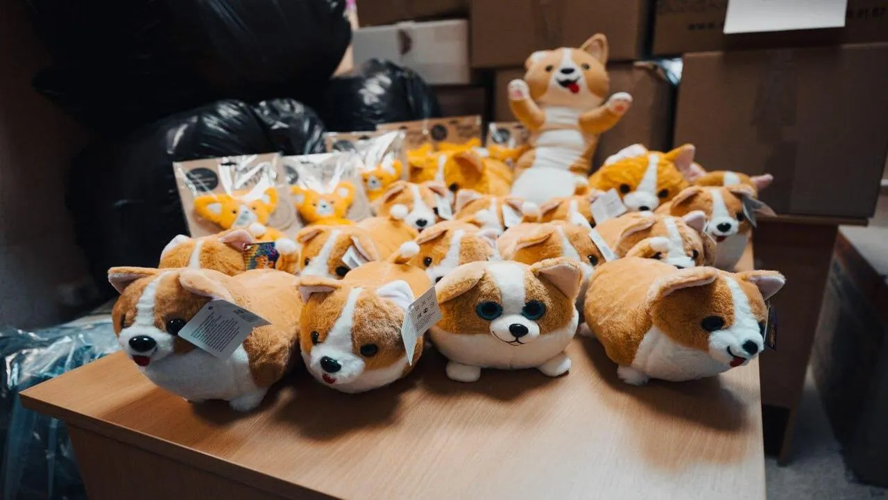 REGIONS/Валерия Тингаева