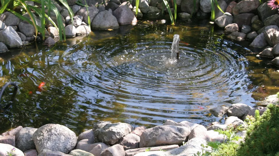 Фото: istockphoto.com