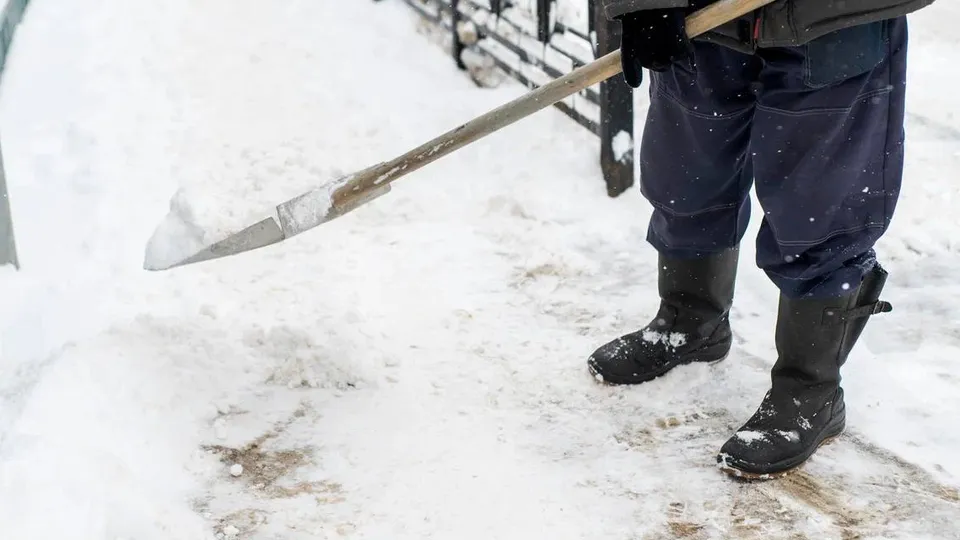Фото: Александр Смирнов