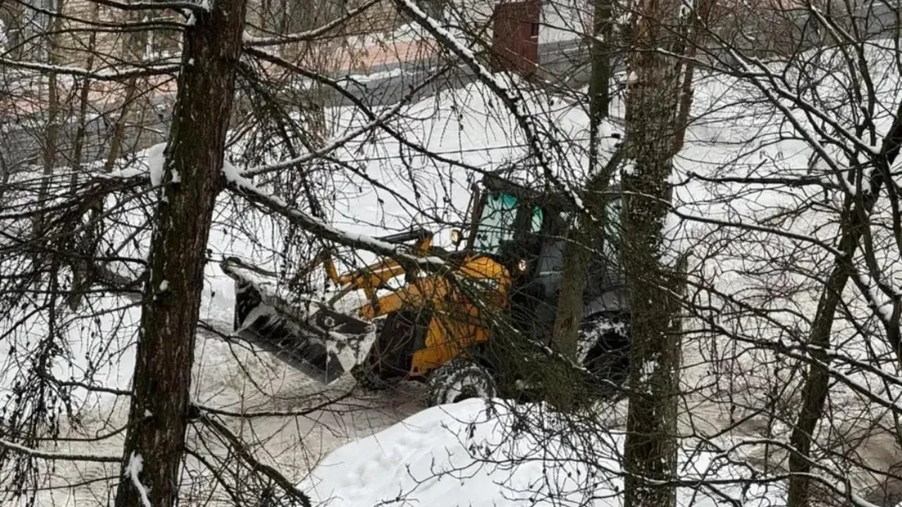 МедиаБанк Подмосковья/Виктория Фортуна