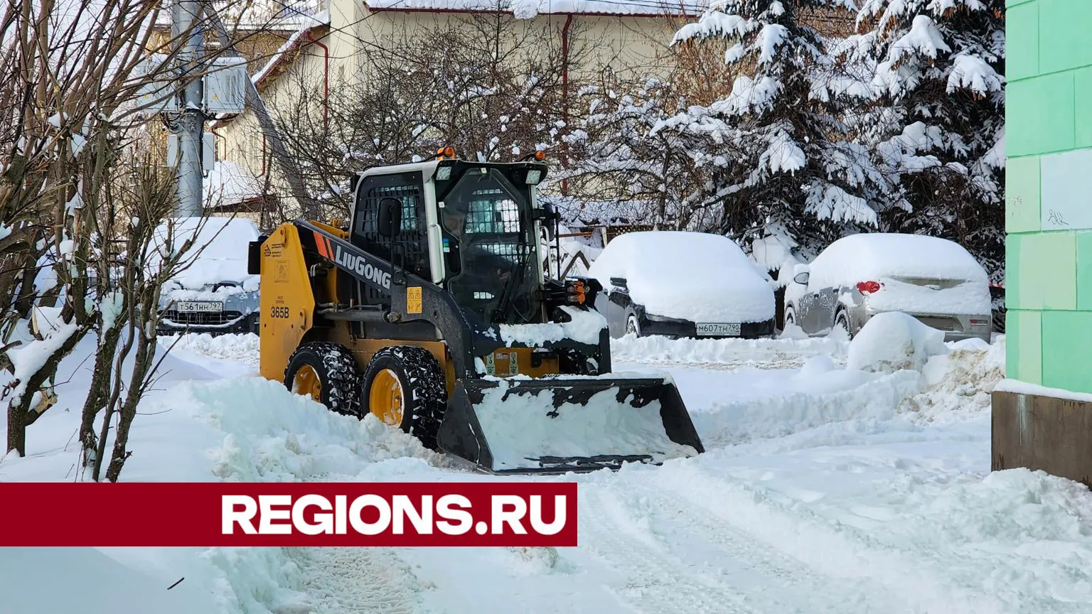Фото: Евгения Корытько