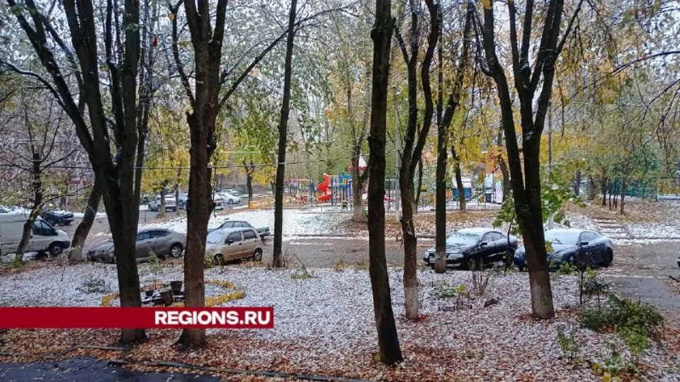 Фото: Елена Григорьева