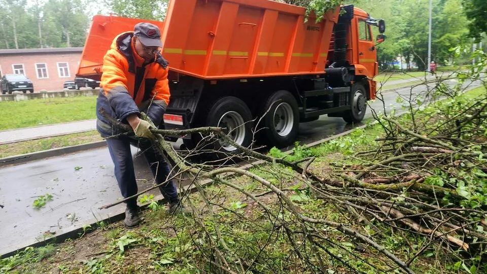 Фото: Мария Панина