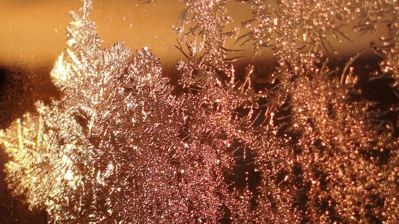 REGIONS/Юлия Куделькина