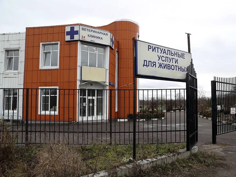 Фото: ТАСС/Вячеслав Прокофьев