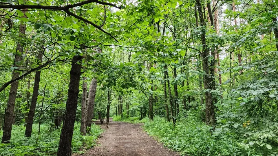 Фото: Мария Андрюхина