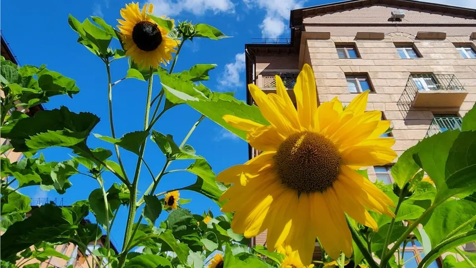 Фото: Максим Сафронов