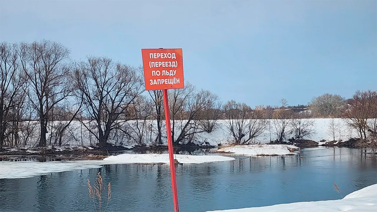 Маргарита Орлова