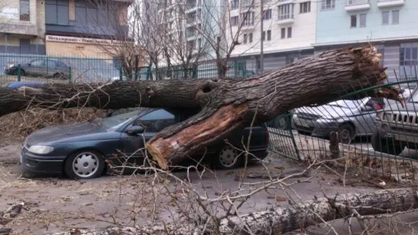 Александр Рацимор / РИА Новости
