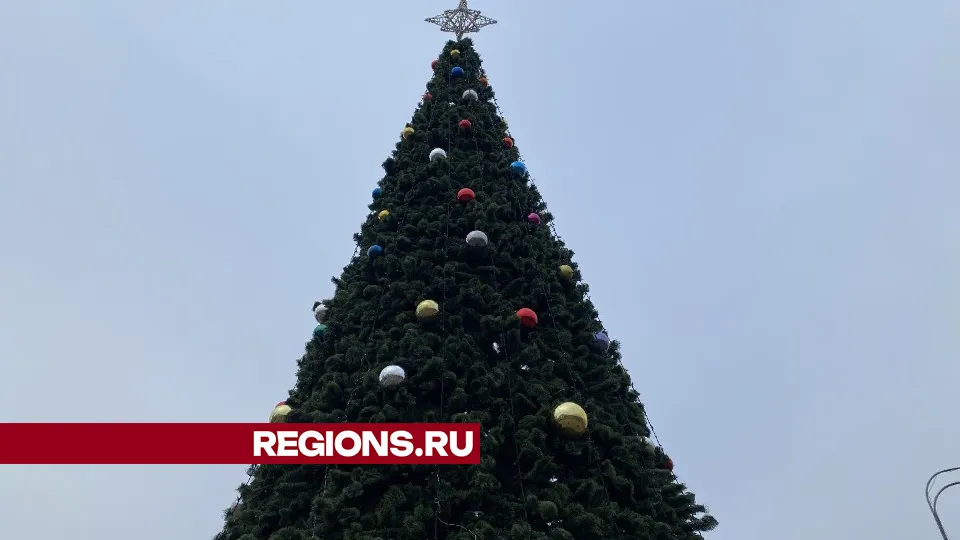 Фото: Мария Шигорева