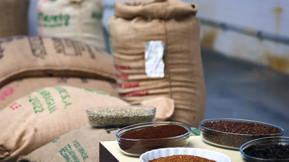 Фото: пресс-служба губернатора и правительства Московской области