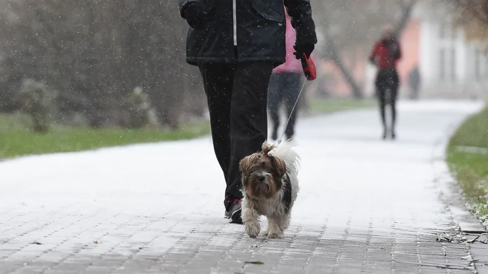 Фото: медиасток.рф