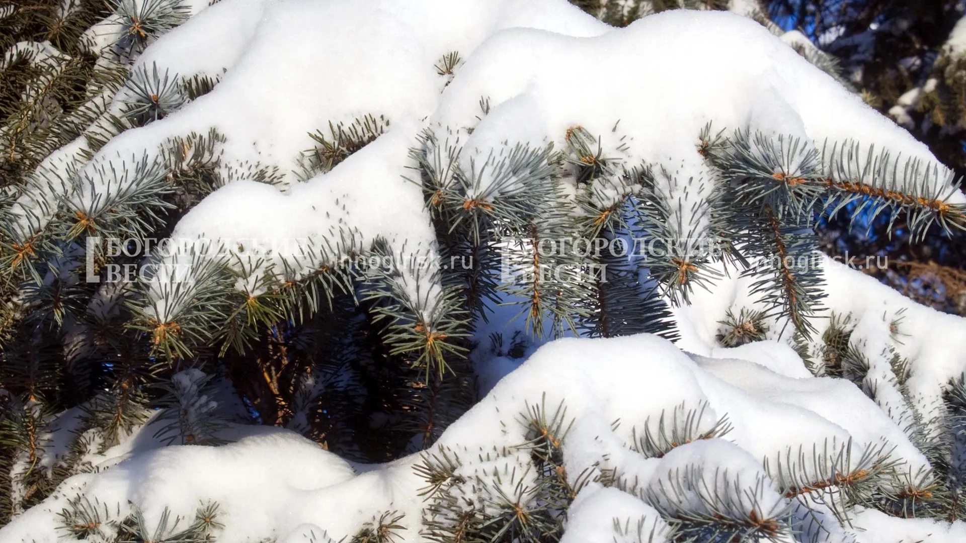 REGIONS/Александр Легкий