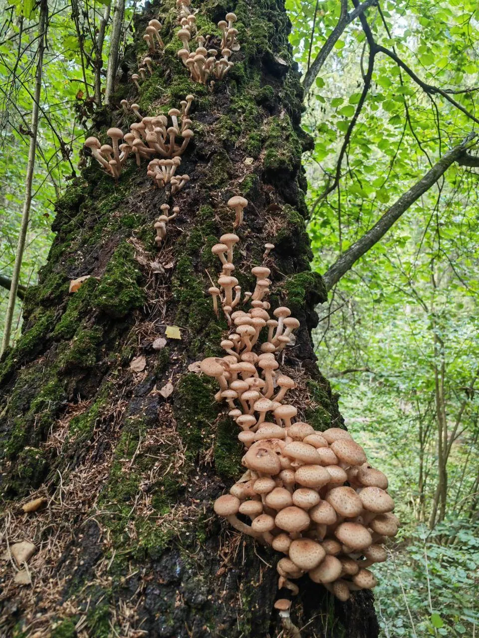 Фото: Мария Панина