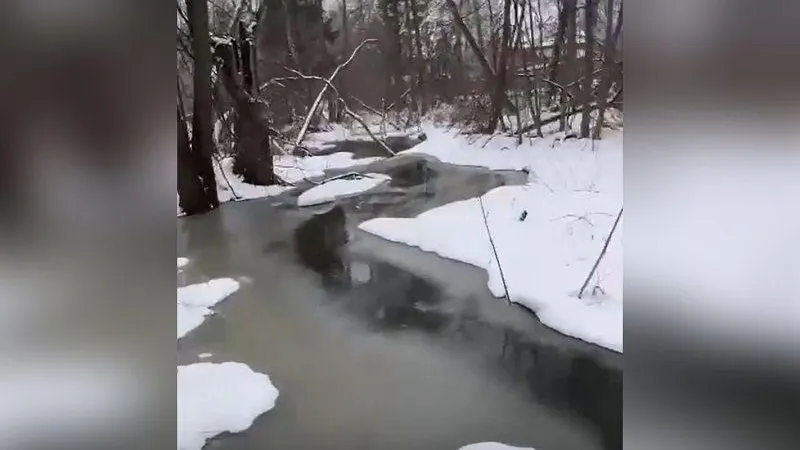 Мутная и пожелтевшая вода в реке обеспокоила жителей Красногорска