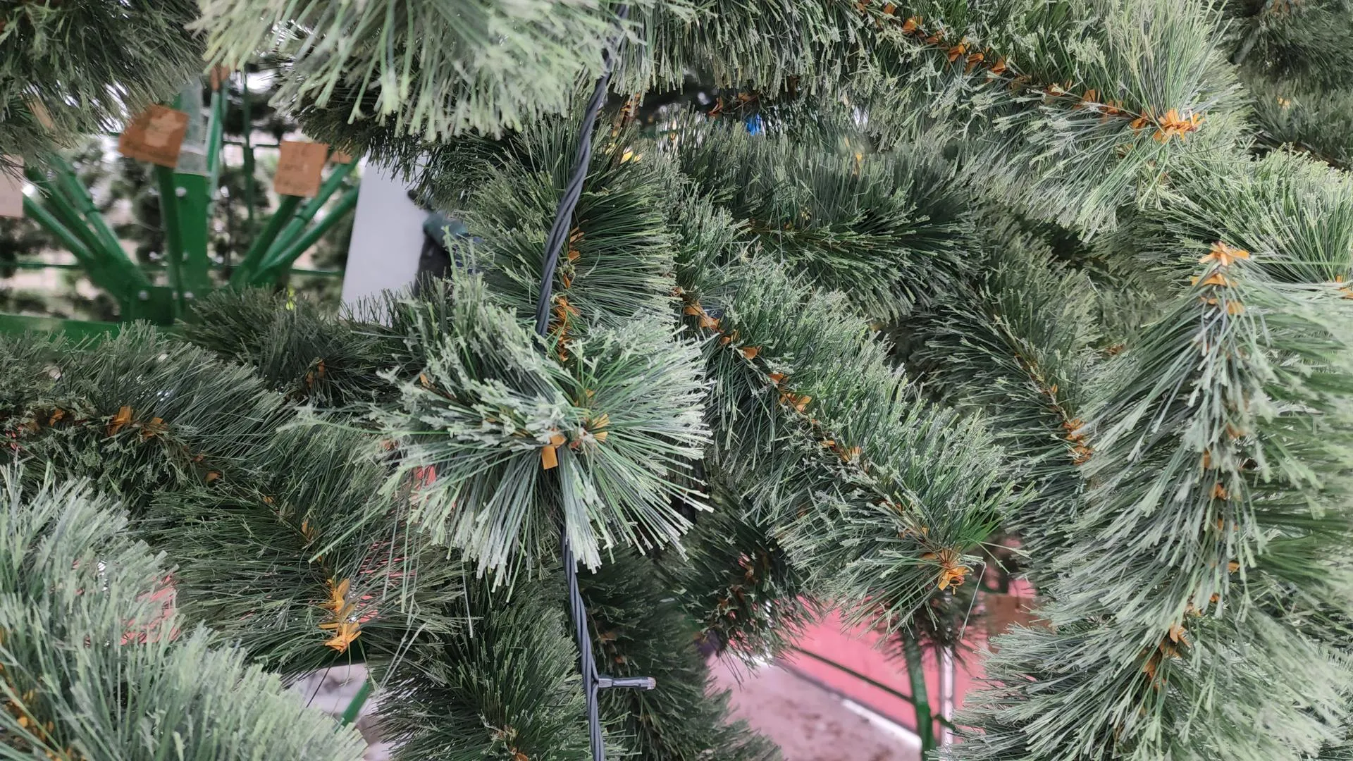 Фото Марии Андрюхиной