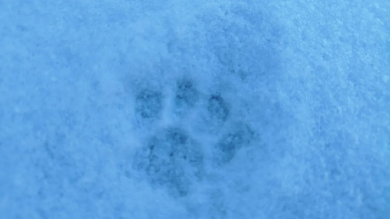 Фото: Комлесхоз МО