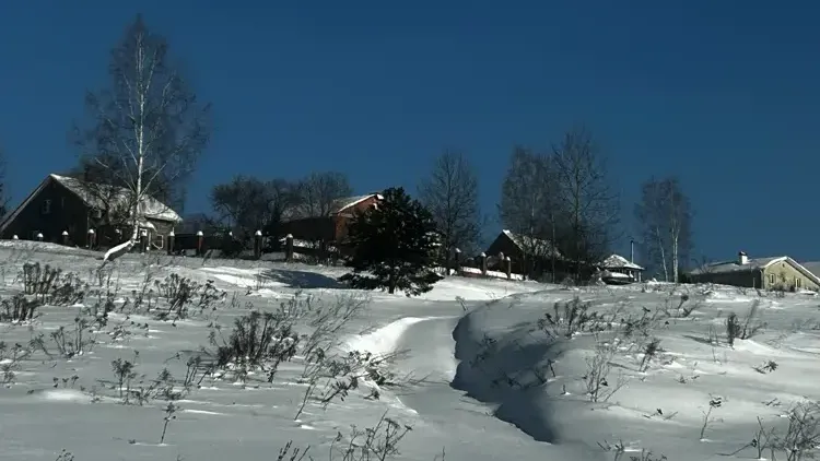 Единый портал торгов Московской области ЕАСУЗ