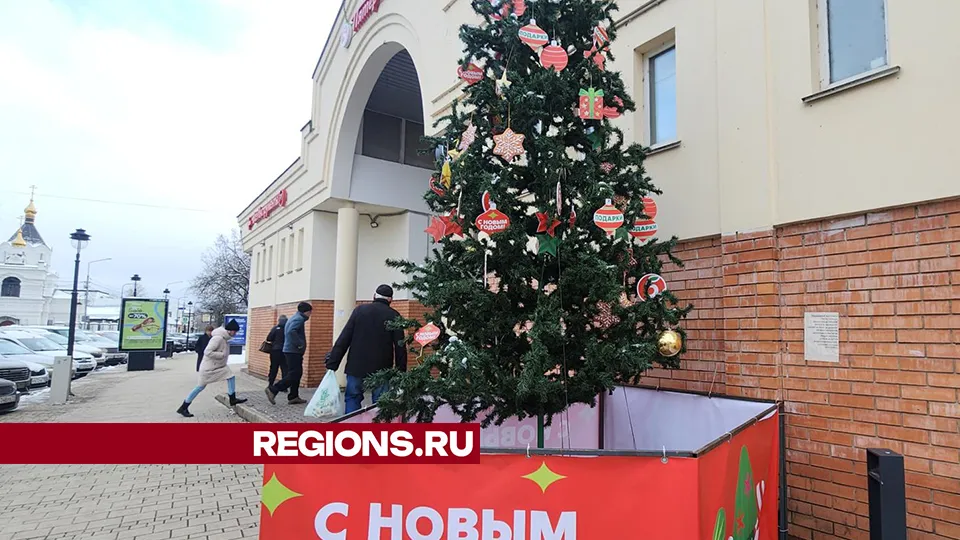 Фото: Хавива Фонина