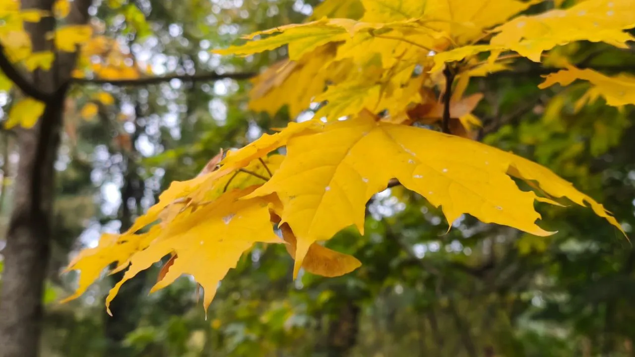 Фото: REGIONS/Анастасия Широкая