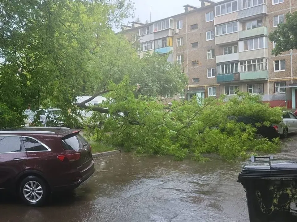 Фото: соцсети