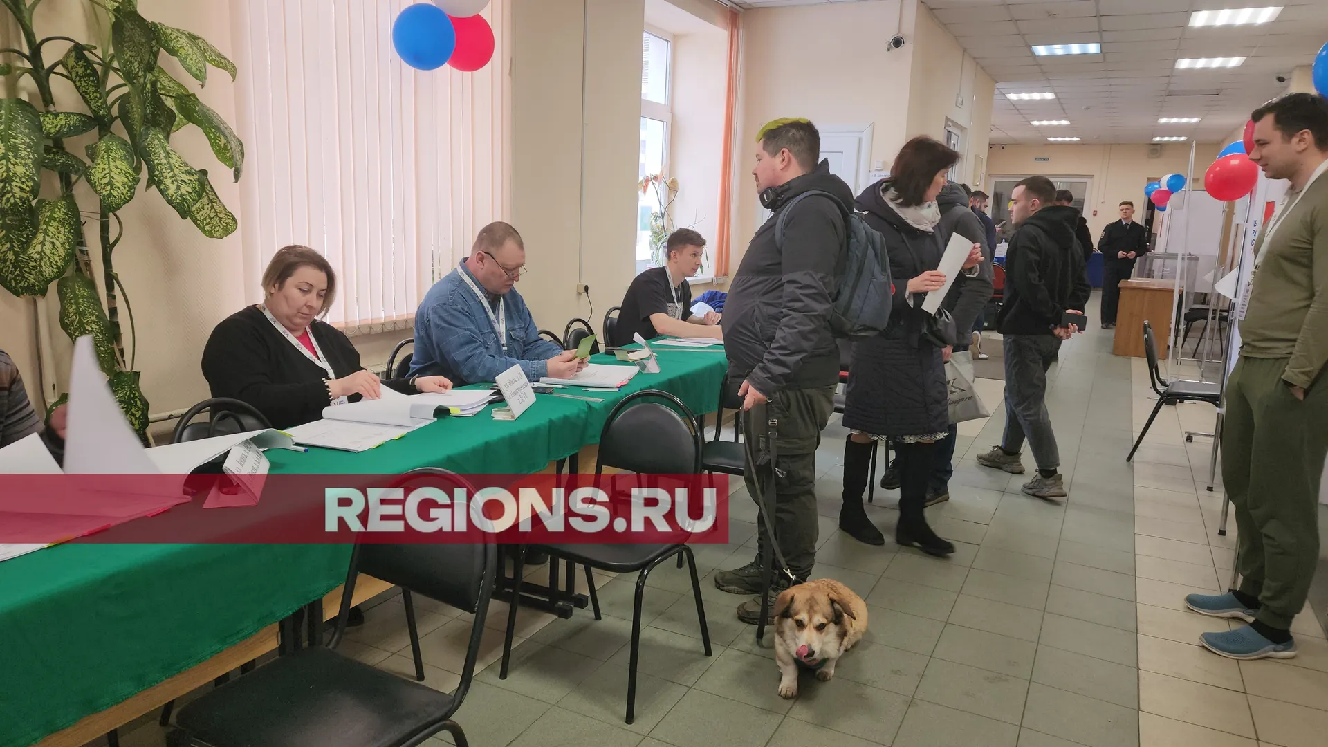 Текст, фото и видео – Ксения Казакова