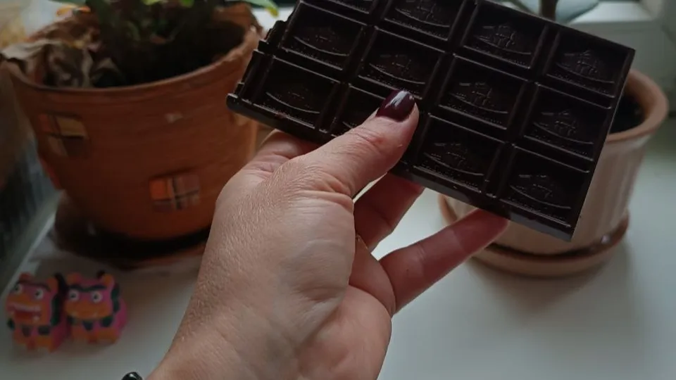 Фото: REGIONS/Наталья Фомина