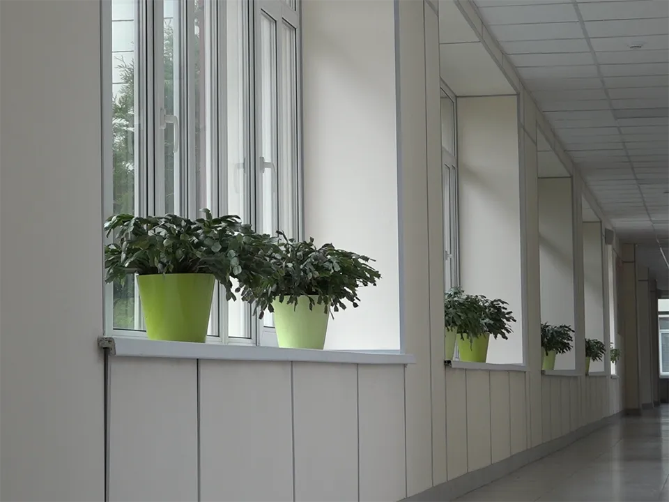 Фото: REGIONS/Елена Аботурова