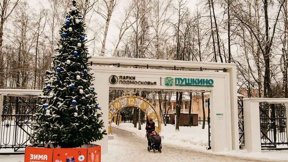 Фото: t.me/Krasnotsvetov_MV