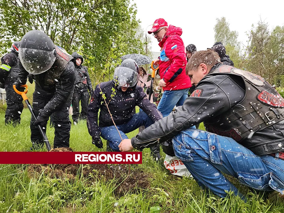 Фото: Светлана Плотникова