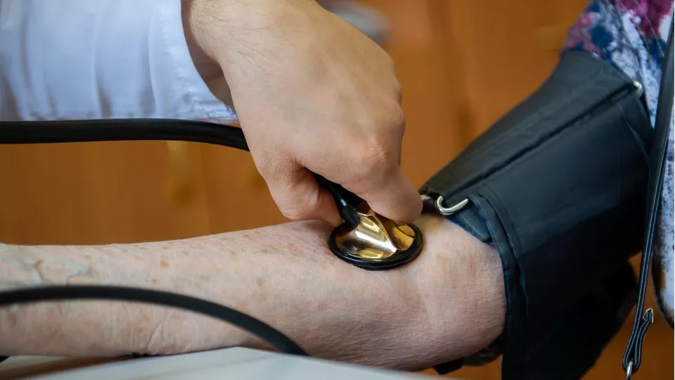 Фото: пресс-служба Пушкинской клинической больницы им. профессора Розанова В.Н.