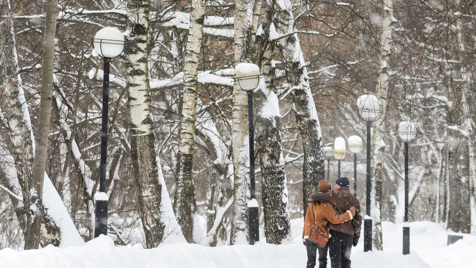 Фото: медиасток.рф