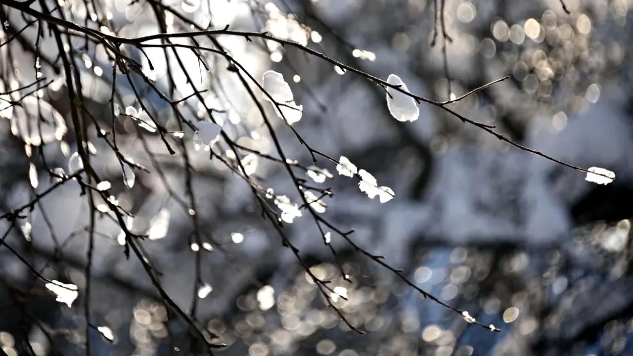 Серафим Мурзин