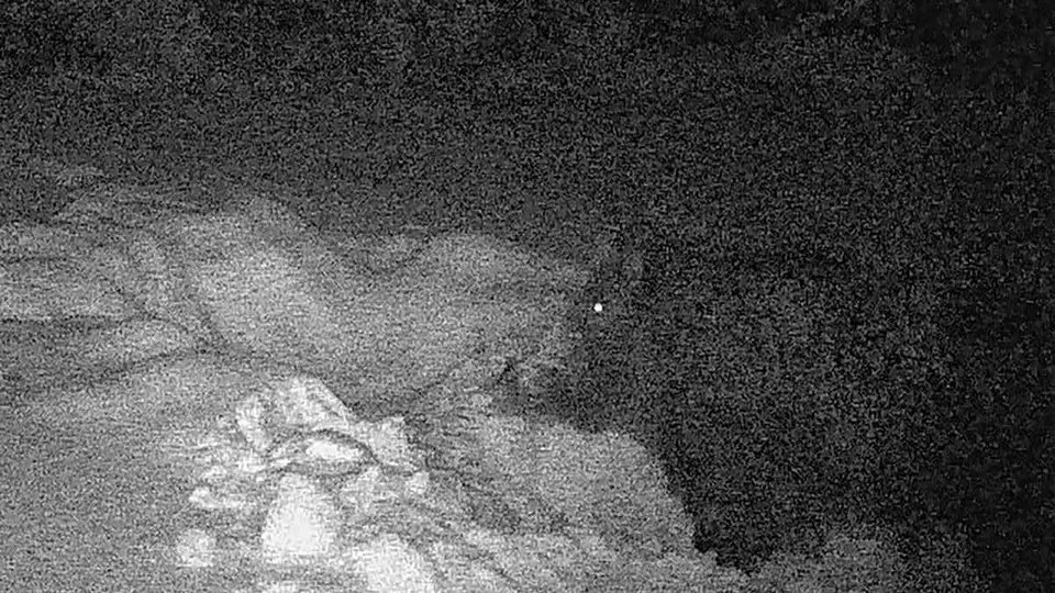 Фото: Василий Потапов