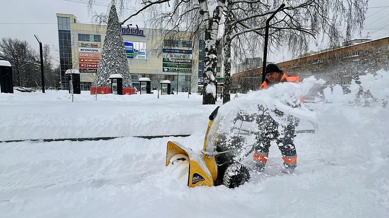 Фото: МедиаБанк Подмосковья/Кристина Тришина
