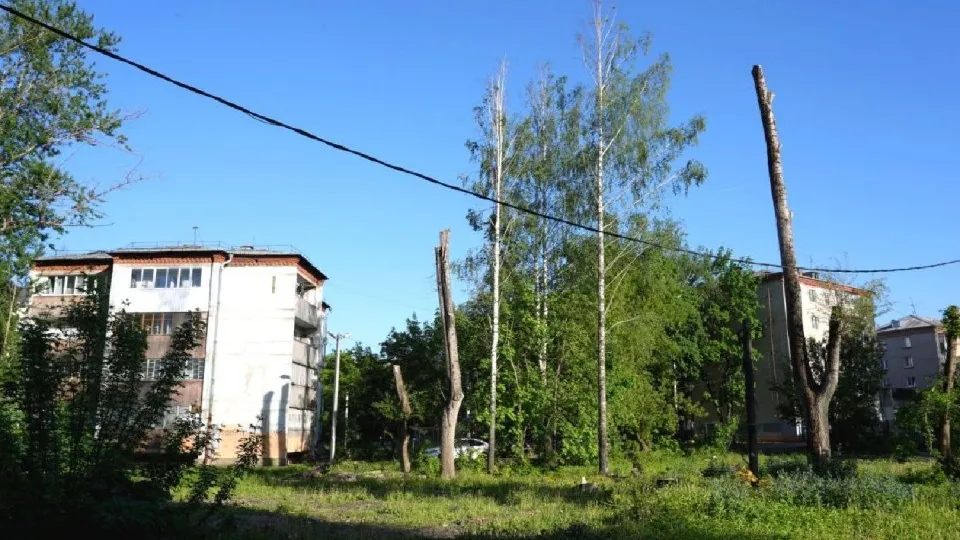Фото: МедиаБанк Подмосковья/Дмитрий Зайчиков