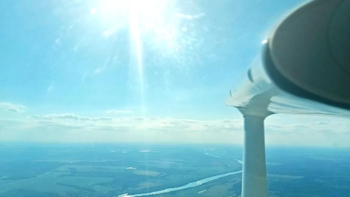 Комитет лесного хозяйства Московской области