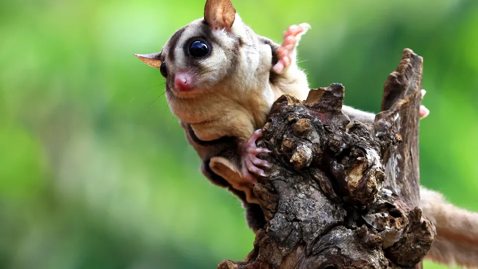 Фото: freepik.com